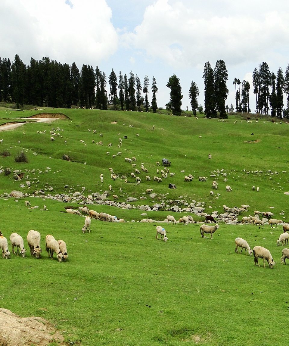 Jammu Kashmir, India